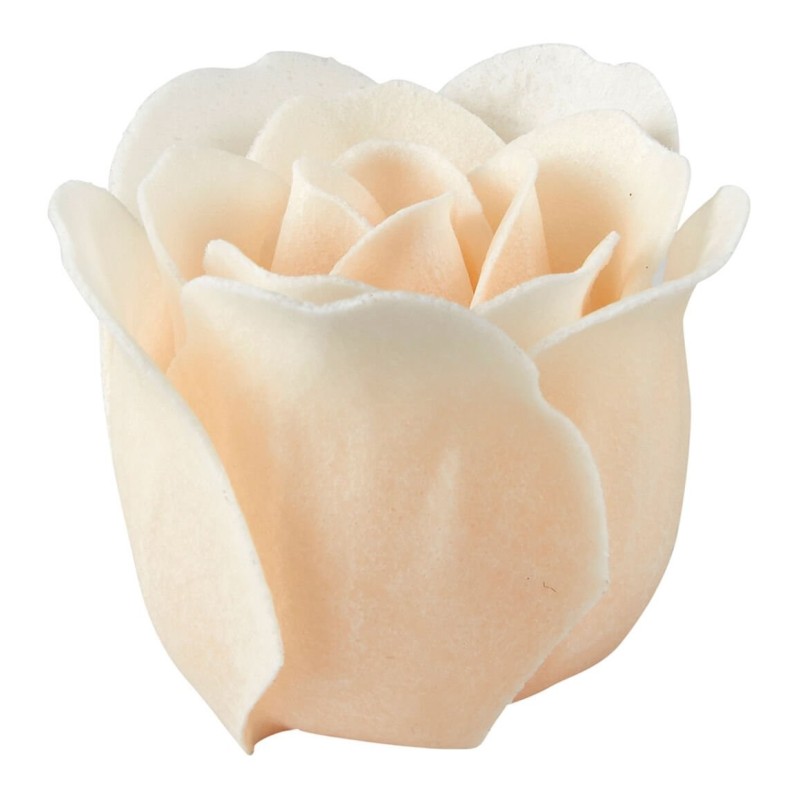 Scatola 12 rose con petali di sapone