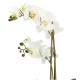 Zolla con orchidee bianche real touch L Veronica